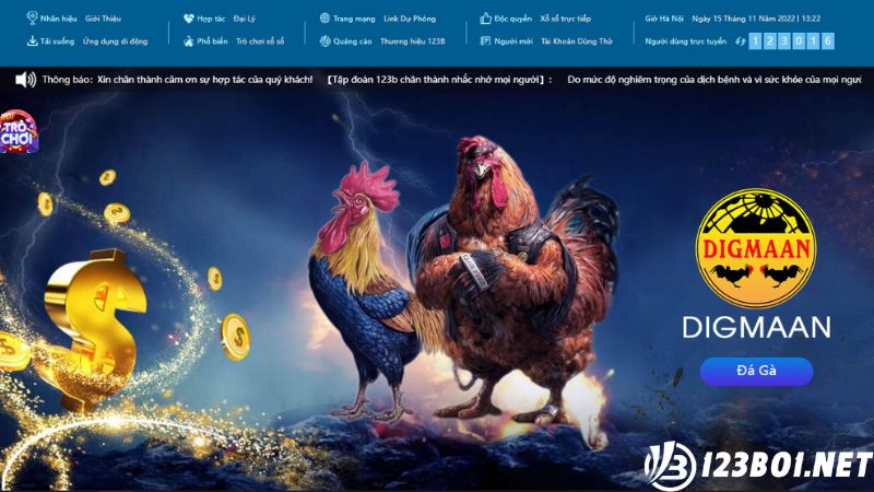 Giới thiệu về sảnh cược đá gà trực tuyến tại 123B08 Casino